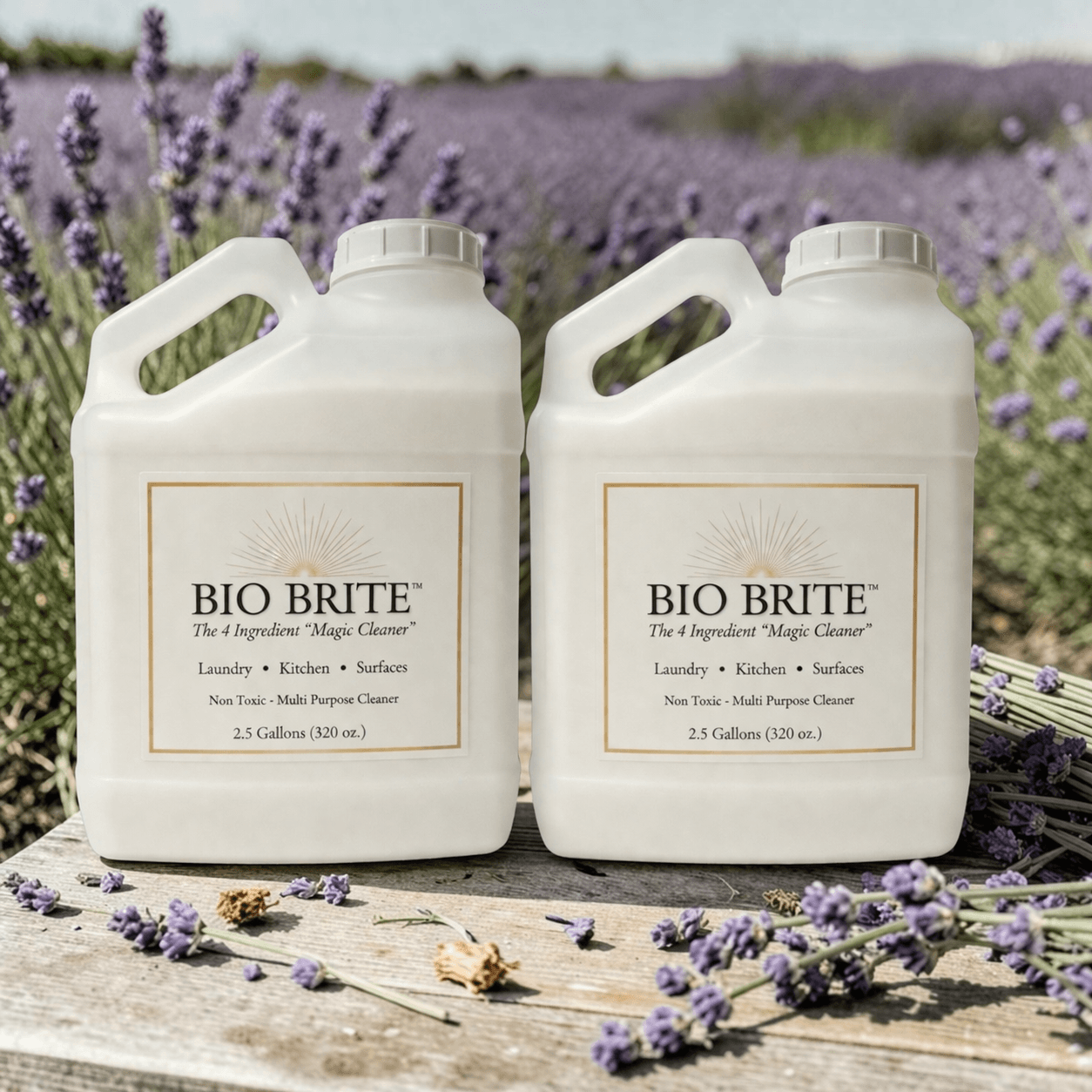 ✨BIO BRITE