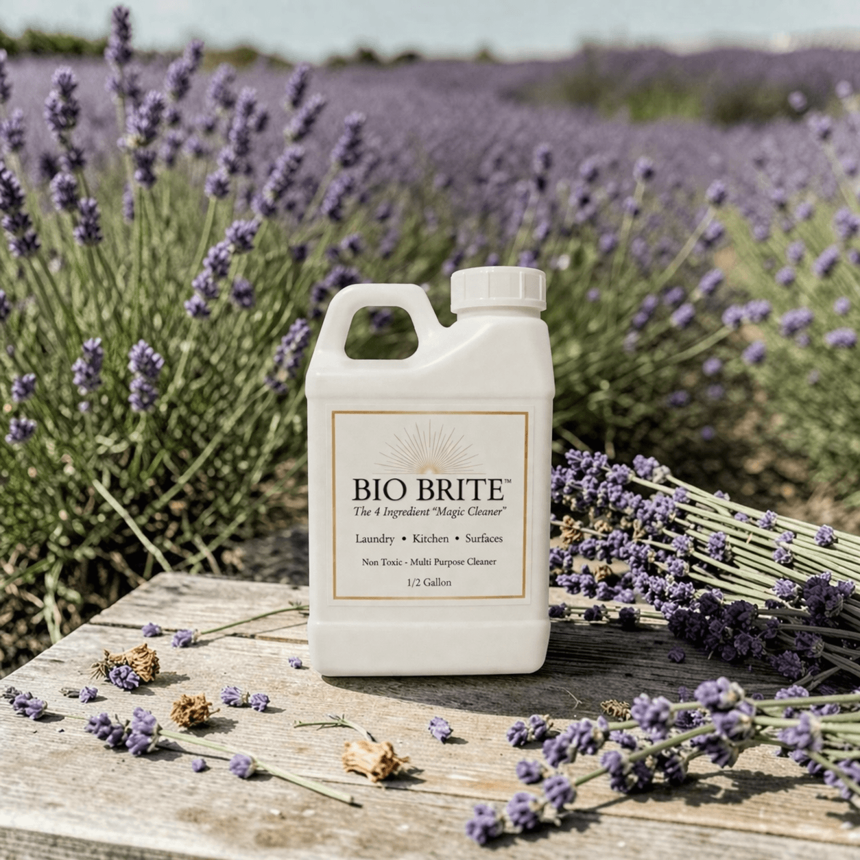 ✨BIO BRITE