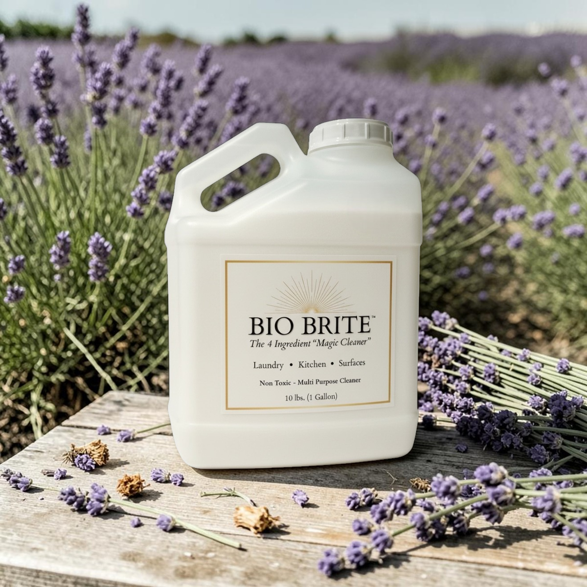 ✨BIO BRITE
