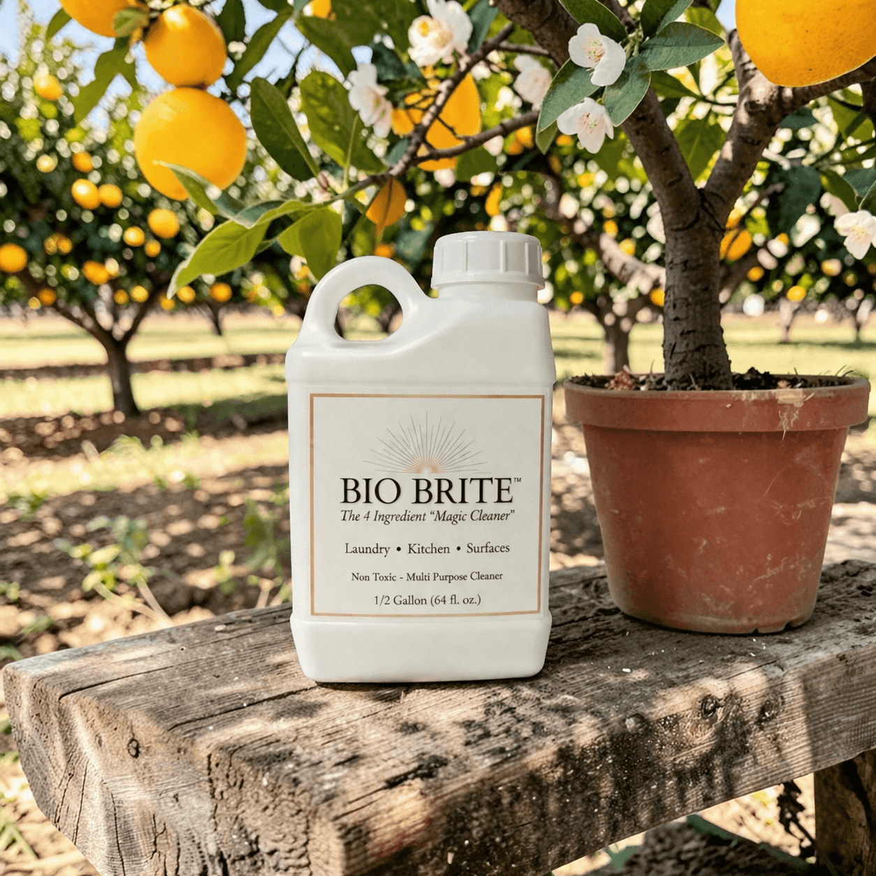 ✨BIO BRITE
